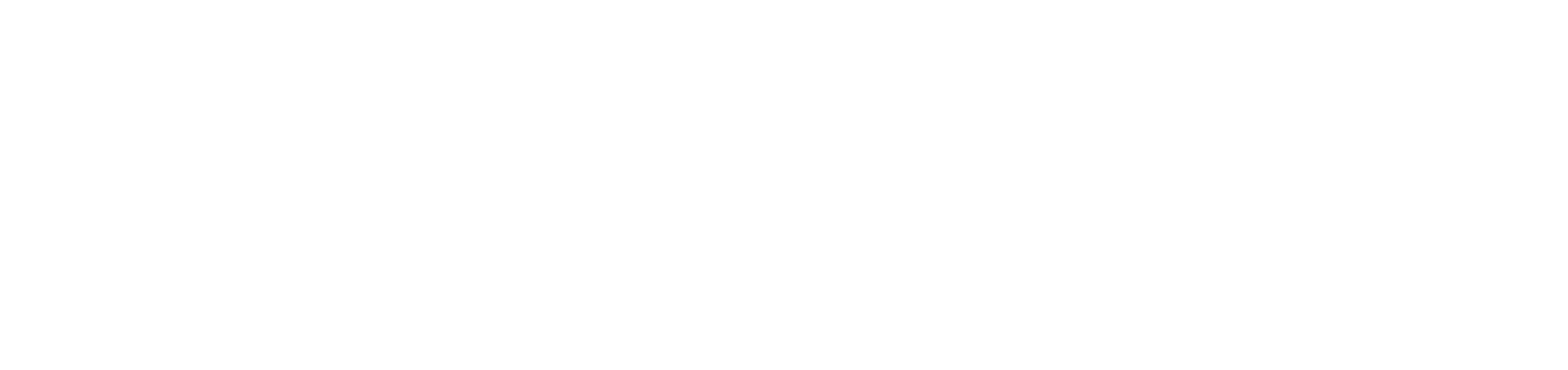 Logo Valle de Chalco Blanco