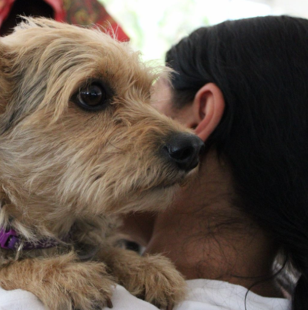 ARRANCA EN VALLE DE CHALCO LA ESTRATEGIA CERA 315 ESTERILIZACIONES GRATUITAS 