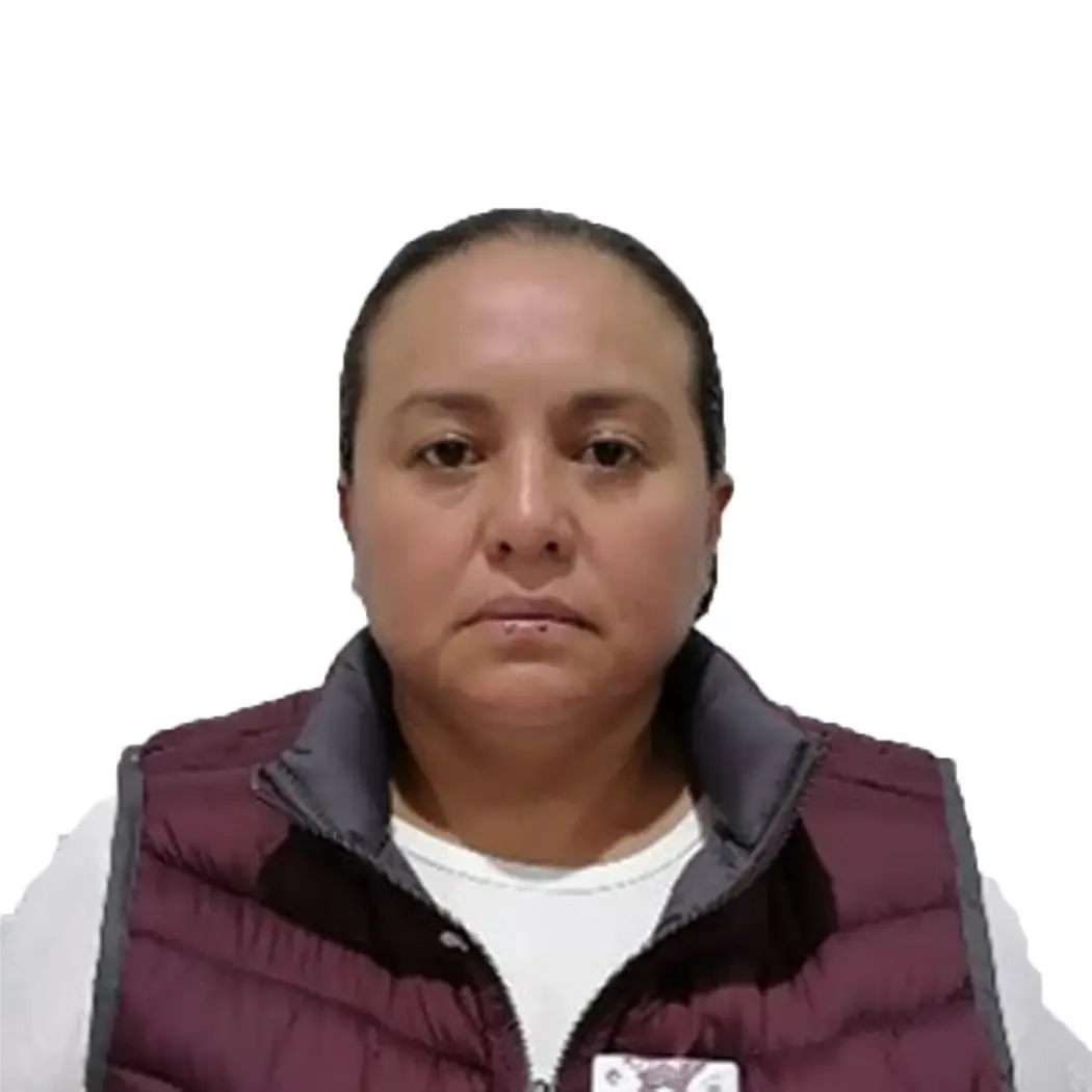 Verificador
