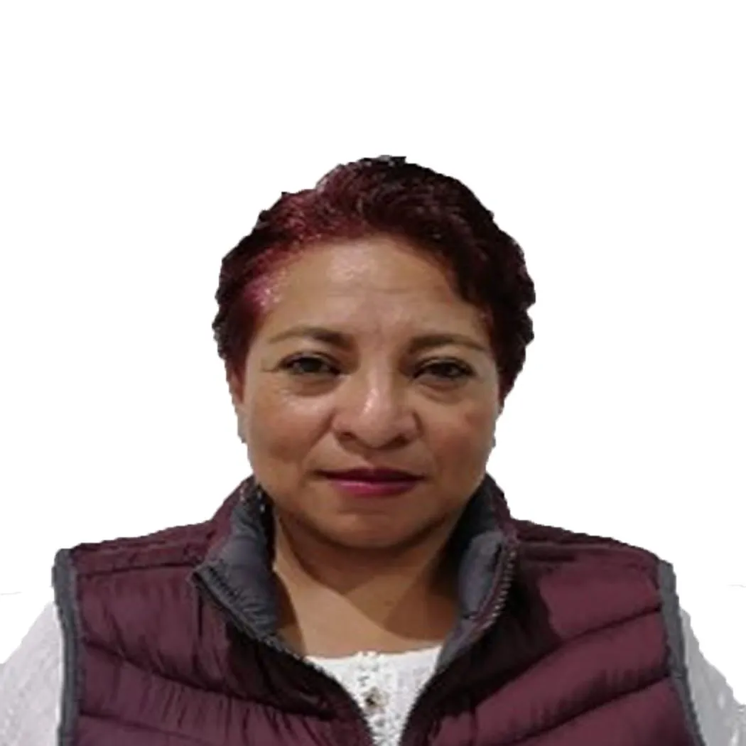 Verificador