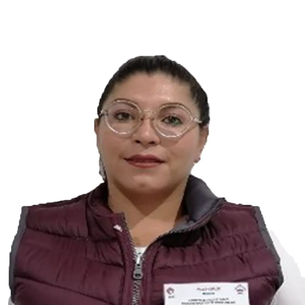 Verificador