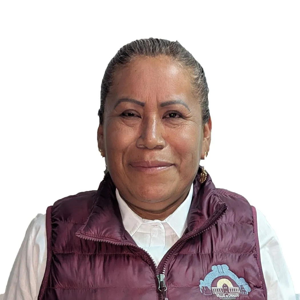Verificador