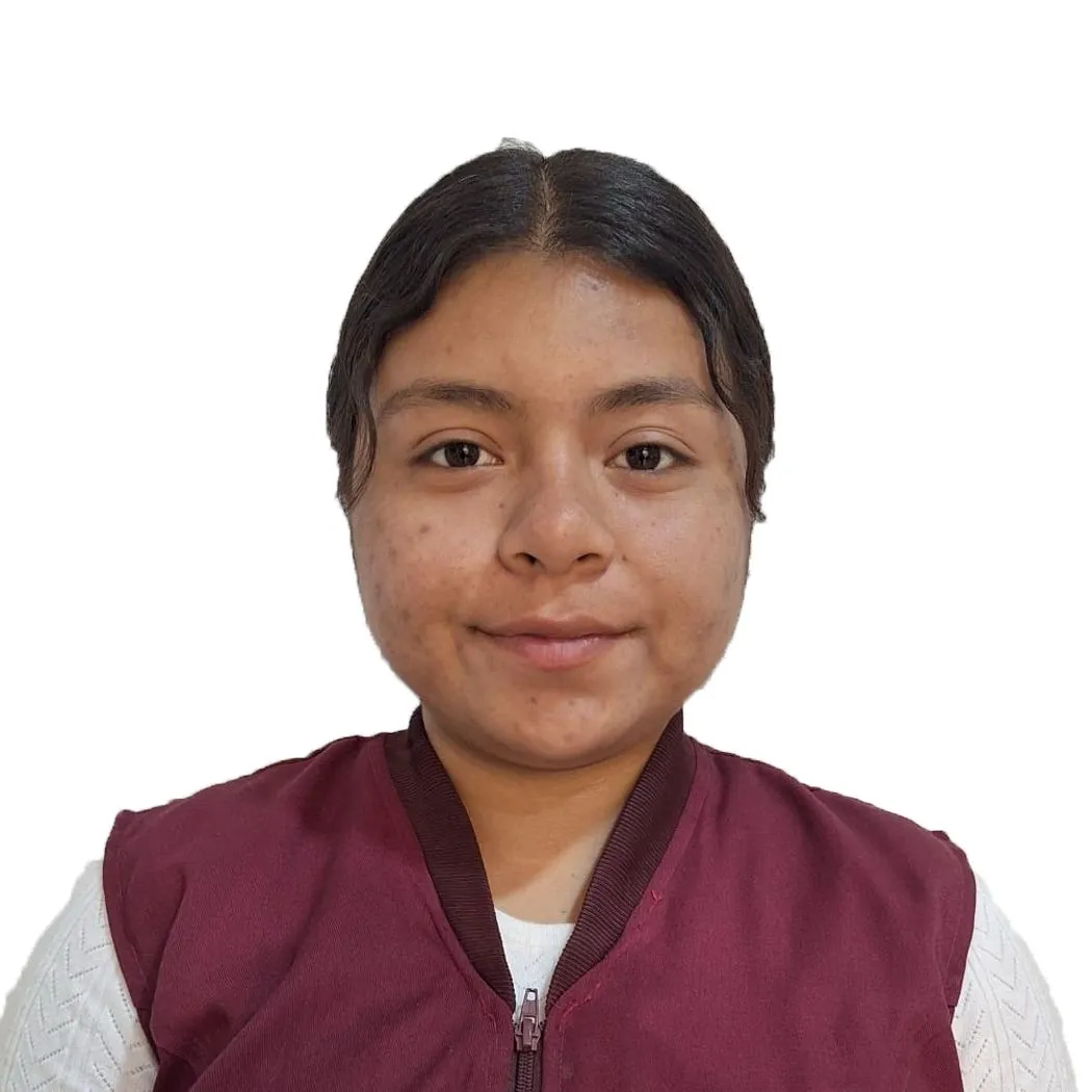 Verificador