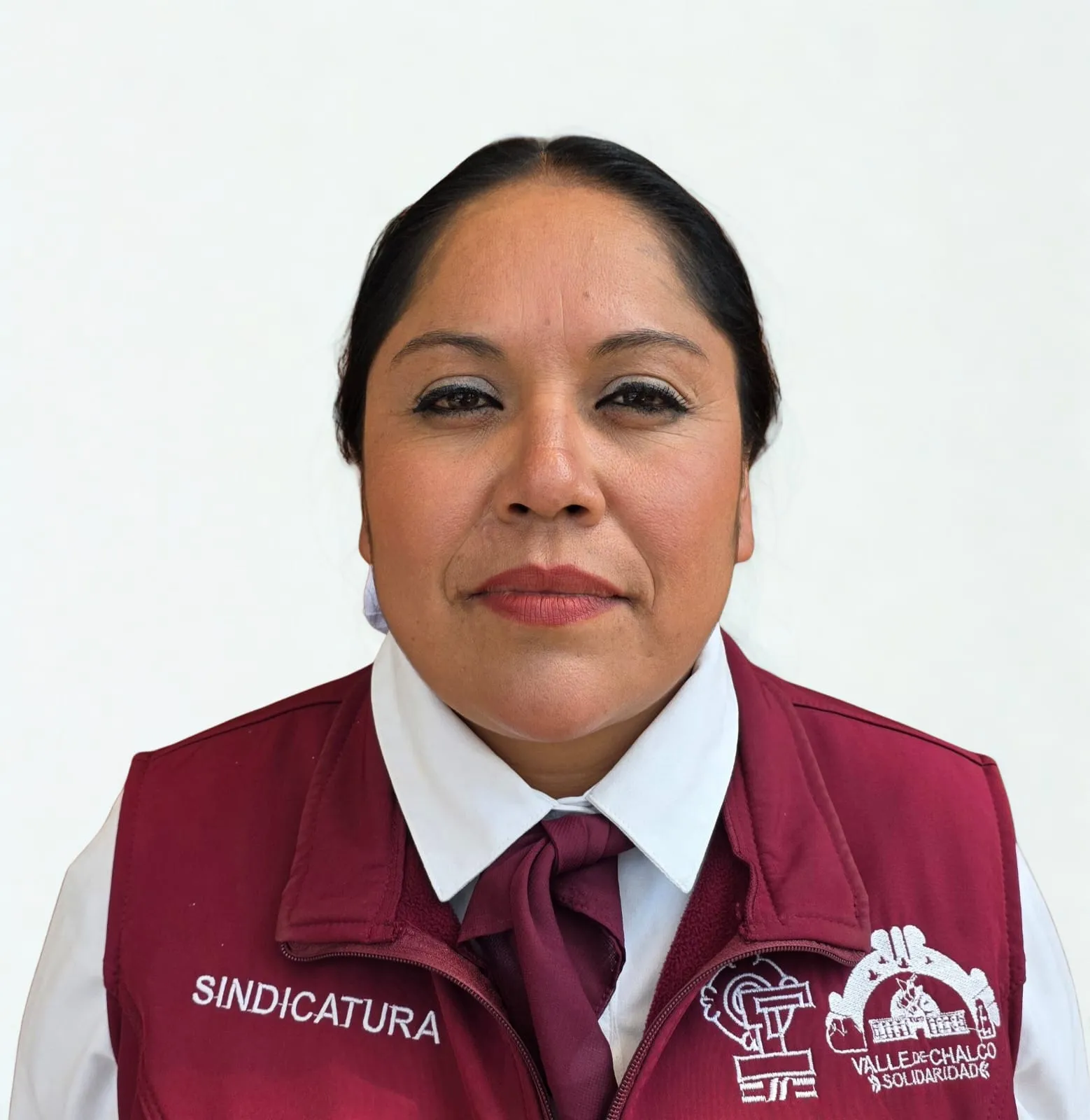 Verificador