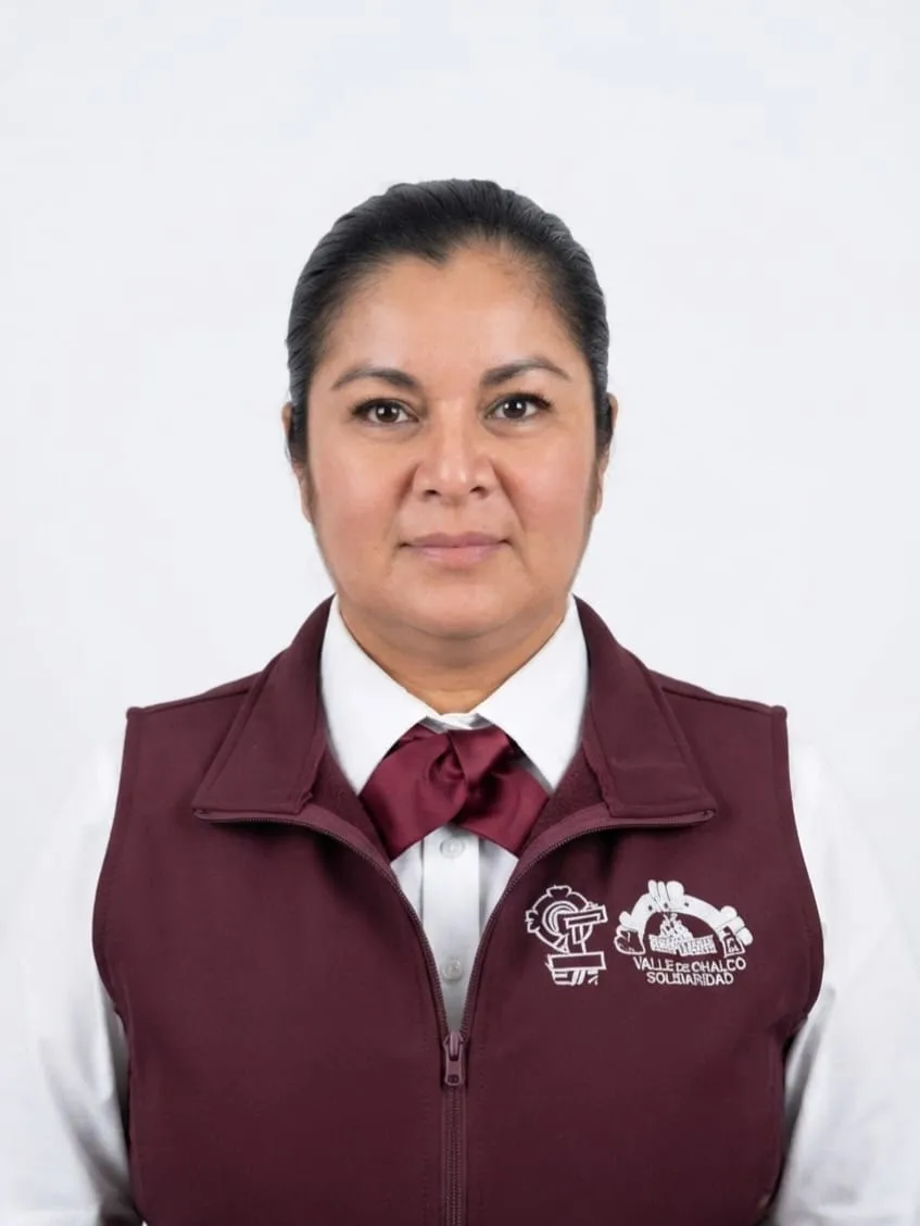 Verificador